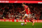 英超豪门疯抢！22岁挪威天才身价暴涨，本菲卡标价4000万